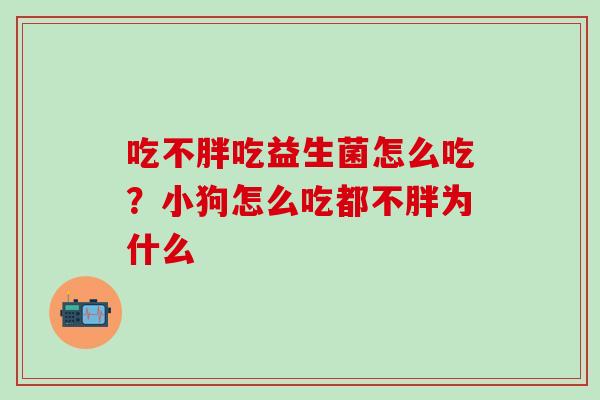 吃不胖吃益生菌怎么吃？小狗怎么吃都不胖为什么
