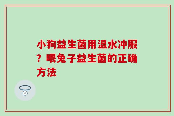小狗益生菌用温水冲服？喂兔子益生菌的正确方法