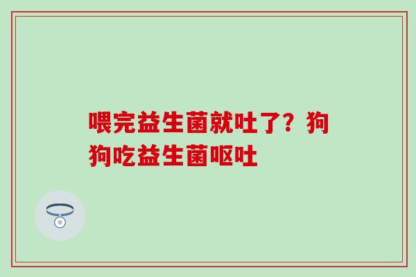 喂完益生菌就吐了？狗狗吃益生菌呕吐