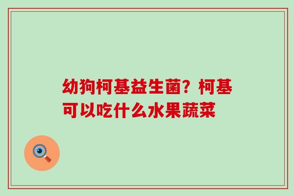 幼狗柯基益生菌？柯基可以吃什么水果蔬菜