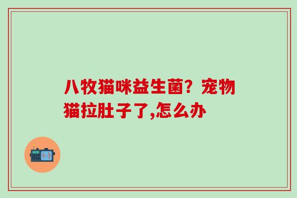 八牧猫咪益生菌?宠物猫拉肚子了,怎么办 八牧猫咪益生菌?宠物猫拉肚子了,怎么办
