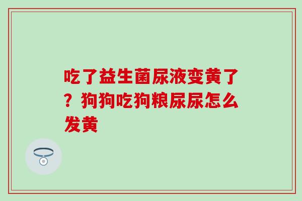 吃了益生菌尿液变黄了？狗狗吃狗粮尿尿怎么发黄