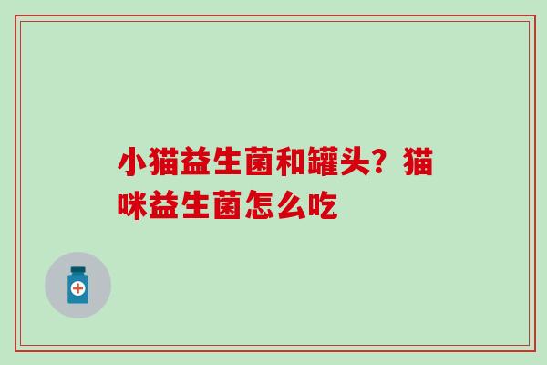 小猫益生菌和罐头？猫咪益生菌怎么吃