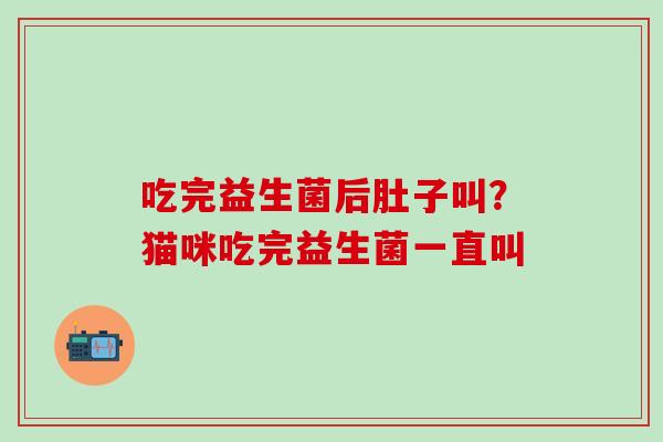 吃完益生菌后肚子叫?猫咪吃完益生菌一直叫 吃完益生菌后肚子叫?猫咪吃完益生菌一直叫