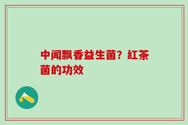 中闻飘香益生菌？红茶菌的功效