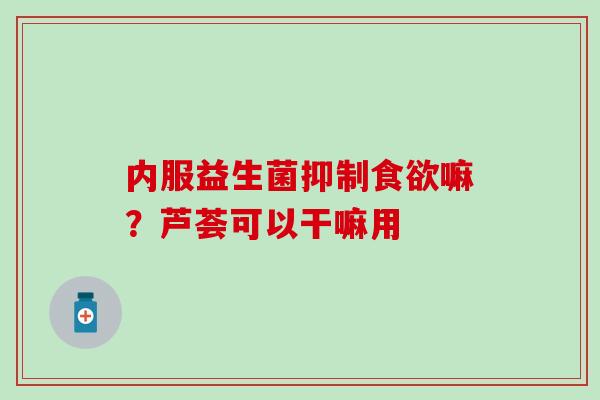 内服益生菌抑制食欲嘛？芦荟可以干嘛用
