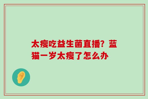 太瘦吃益生菌直播？蓝猫一岁太瘦了怎么办