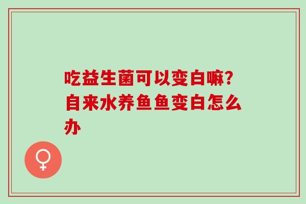 吃益生菌可以变白嘛？自来水养鱼鱼变白怎么办