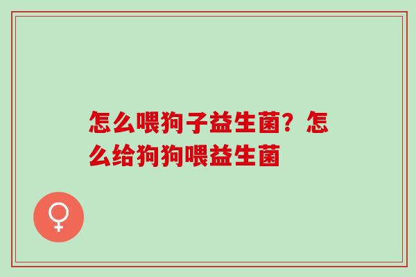 怎么喂狗子益生菌？怎么给狗狗喂益生菌