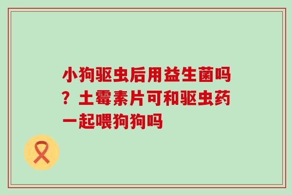 小狗驱虫后用益生菌吗？土霉素片可和驱虫药一起喂狗狗吗