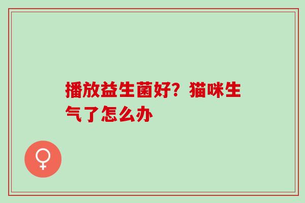 播放益生菌好?猫咪生气了怎么办 播放益生菌好?猫咪生气了怎么办