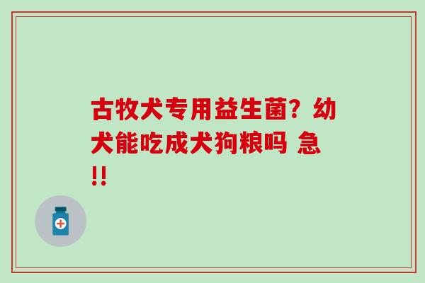 古牧犬专用益生菌？幼犬能吃成犬狗粮吗 急!!