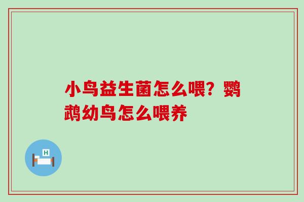 小鸟益生菌怎么喂？鹦鹉幼鸟怎么喂养
