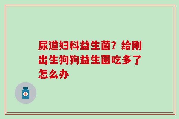 尿道妇科益生菌？给刚出生狗狗益生菌吃多了怎么办