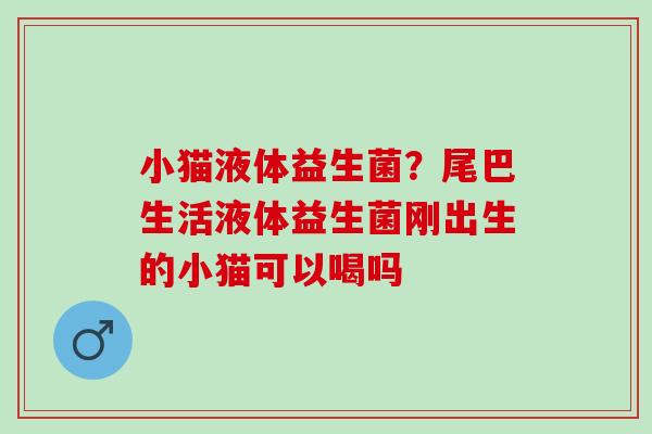 小猫液体益生菌？尾巴生活液体益生菌刚出生的小猫可以喝吗