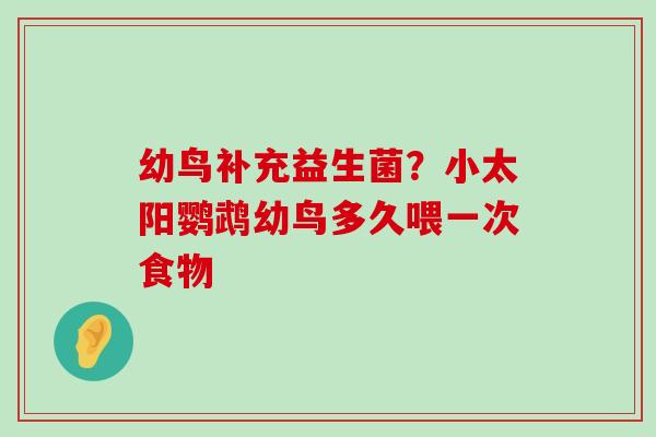幼鸟补充益生菌？小太阳鹦鹉幼鸟多久喂一次食物