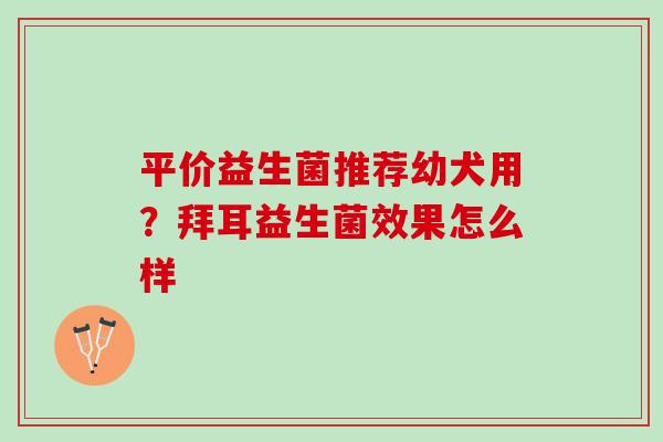 平价益生菌推荐幼犬用？拜耳益生菌效果怎么样