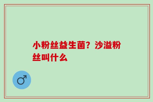 小粉丝益生菌？沙溢粉丝叫什么