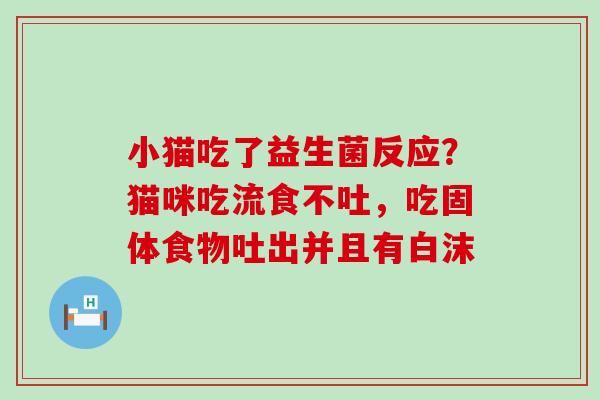 小猫吃了益生菌反应？猫咪吃流食不吐，吃固体食物吐出并且有白沫