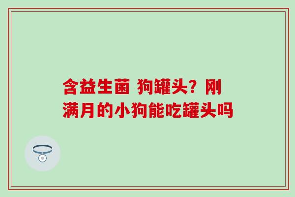 含益生菌 狗罐头？刚满月的小狗能吃罐头吗
