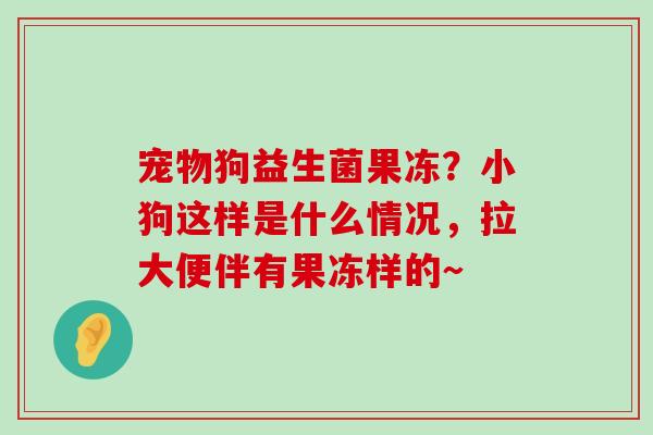 宠物狗益生菌果冻?小狗这样是什么情况,拉大便伴有果冻样的~ 宠物狗益生菌果冻?小狗这样是什么情况,拉大便伴有果冻样的~