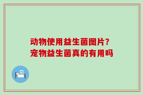 动物使用益生菌图片？宠物益生菌真的有用吗