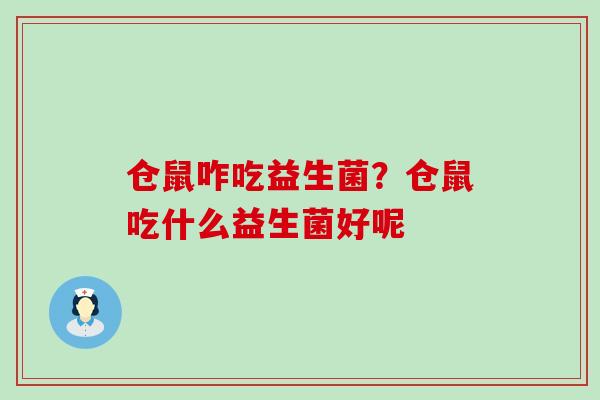 仓鼠咋吃益生菌？仓鼠吃什么益生菌好呢