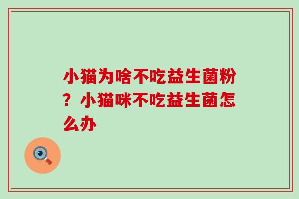 小猫为啥不吃益生菌粉？小猫咪不吃益生菌怎么办