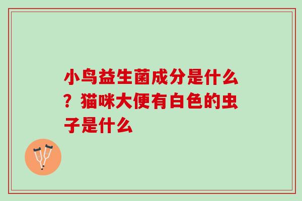 小鸟益生菌成分是什么？猫咪大便有白色的虫子是什么