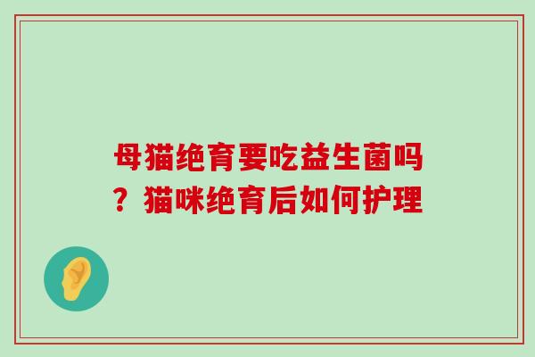 母猫绝育要吃益生菌吗?猫咪绝育后如何护理 母猫绝育要吃益生菌吗?猫咪绝育后如何护理