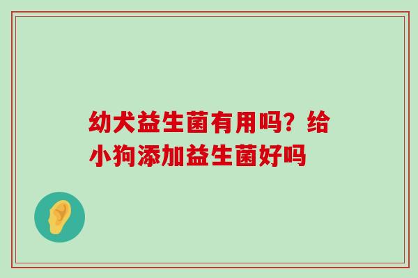幼犬益生菌有用吗？给小狗添加益生菌好吗