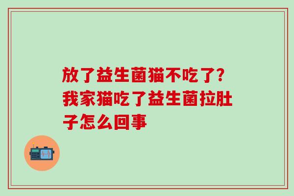 放了益生菌猫不吃了？我家猫吃了益生菌拉肚子怎么回事