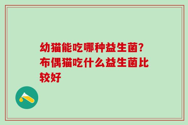幼猫能吃哪种益生菌？布偶猫吃什么益生菌比较好