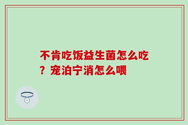 不肯吃饭益生菌怎么吃？宠泊宁消怎么喂