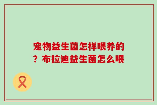 宠物益生菌怎样喂养的？布拉迪益生菌怎么喂