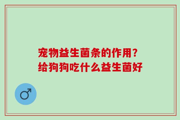 宠物益生菌条的作用？给狗狗吃什么益生菌好