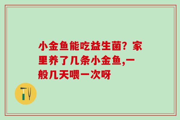 小金鱼能吃益生菌？家里养了几条小金鱼,一般几天喂一次呀