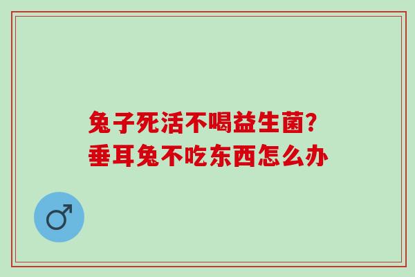 兔子死活不喝益生菌？垂耳兔不吃东西怎么办
