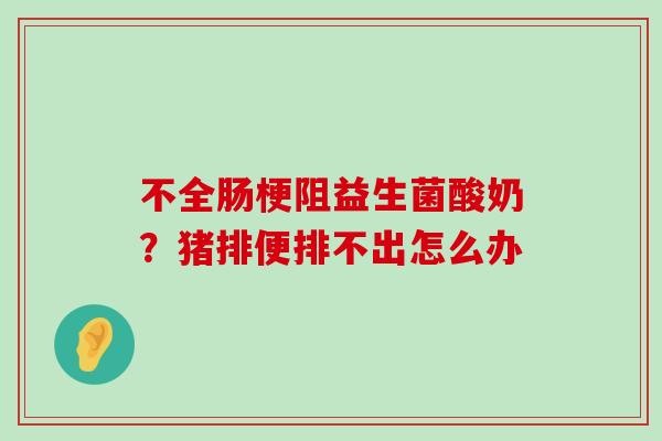 不全肠梗阻益生菌酸奶？猪排便排不出怎么办