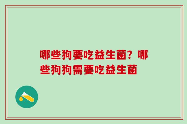 哪些狗要吃益生菌？哪些狗狗需要吃益生菌