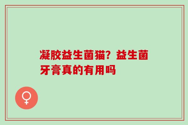 凝胶益生菌猫？益生菌牙膏真的有用吗