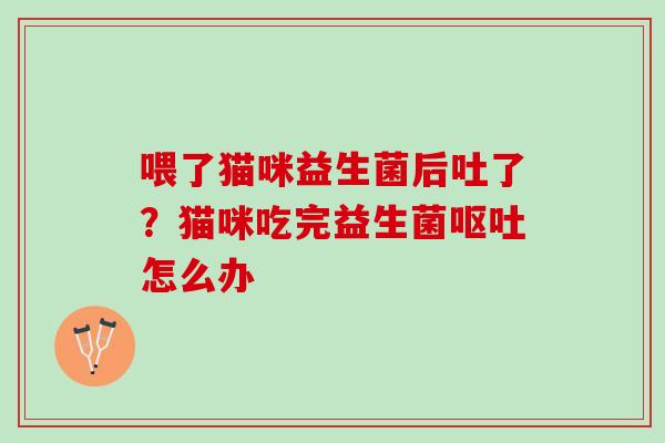 喂了猫咪益生菌后吐了?猫咪吃完益生菌怎么办 喂了猫咪益生菌后吐了?猫咪吃完益生菌怎么办