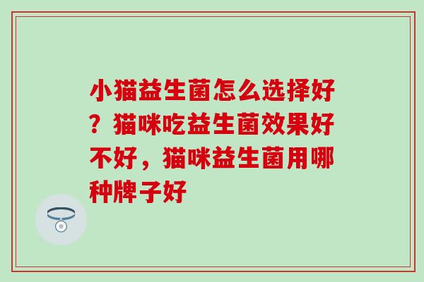 小猫益生菌怎么选择好？猫咪吃益生菌效果好不好，猫咪益生菌用哪种牌子好