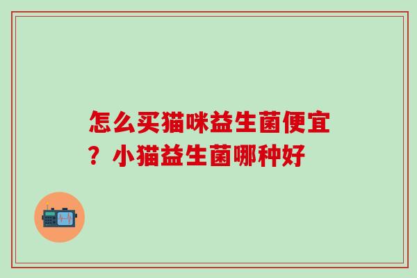 怎么买猫咪益生菌便宜？小猫益生菌哪种好