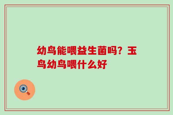 幼鸟能喂益生菌吗？玉鸟幼鸟喂什么好
