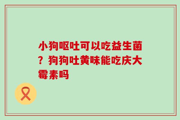 小狗呕吐可以吃益生菌？狗狗吐黄味能吃庆大霉素吗