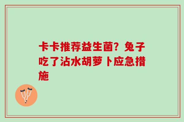 卡卡推荐益生菌？兔子吃了沾水胡萝卜应急措施