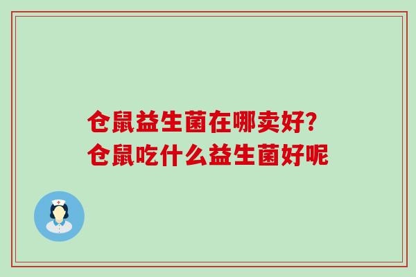 仓鼠益生菌在哪卖好？仓鼠吃什么益生菌好呢