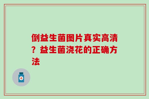 倒益生菌图片真实高清？益生菌浇花的正确方法