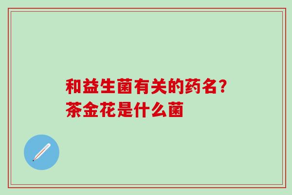 和益生菌有关的药名？茶金花是什么菌